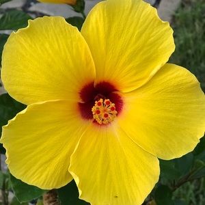 Meet your Posher, Mayra